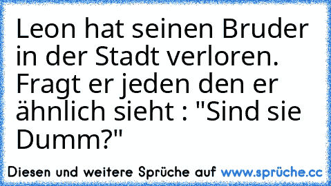 Leon hat seinen Bruder in der Stadt verloren. Fragt er jeden den er ähnlich sieht : "Sind sie Dumm?"