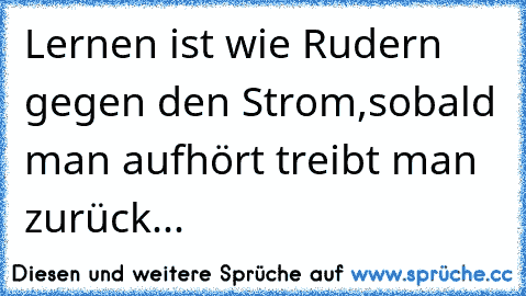 Lernen ist wie Rudern gegen den Strom,sobald man aufhört treibt man zurück...