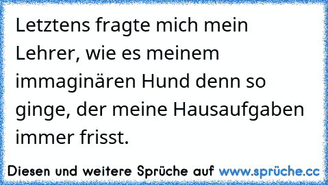 Letztens fragte mich mein Lehrer, wie es meinem immaginären Hund denn so ginge, der meine Hausaufgaben immer frisst.