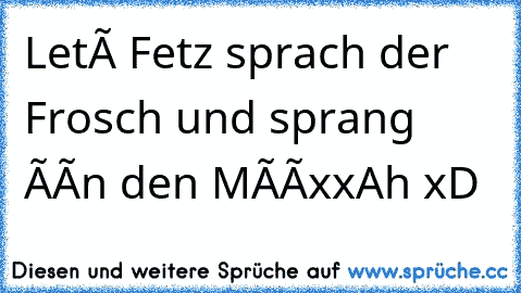 Leté Fetz sprach der Frosch und sprang îîn den MîîxxAh xD