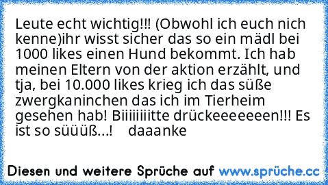 Leute echt wichtig!!! (Obwohl ich euch nich kenne)
ihr wisst sicher das so ein mädl bei 1000 likes einen Hund bekommt. Ich hab meinen Eltern von der aktion erzählt, und tja, bei 10.000 likes krieg ich das süße zwergkaninchen das ich im Tierheim gesehen hab! Biiiiiiiitte drückeeeeeeen!!! Es ist so süüüß...!  ♥ ♥ daaanke