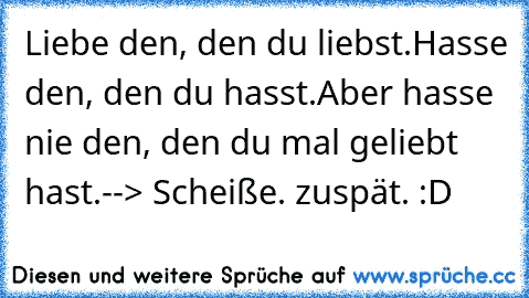 Liebe den, den du liebst.
Hasse den, den du hasst.
Aber hasse nie den, den du mal geliebt hast.
--> Scheiße. zuspät. :D