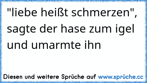 "liebe heißt schmerzen", sagte der hase zum igel und umarmte ihn ♥