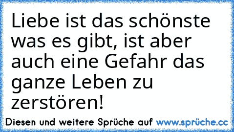 Liebe ist das schönste was es gibt, ist aber auch eine Gefahr das ganze Leben zu zerstören! ♡