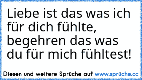 Liebe ist das was ich für dich fühlte, begehren das was du für mich fühltest!