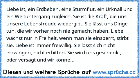 Liebe ist, ein Erdbeben, eine Sturmflut, ein Urknall und ein Weltuntergang zugleich. Sie ist die Kraft, die uns unsere Lebensfreude wiedergibt. Sie lässt uns Dinge tun, die wir vorher noch nie gemacht haben. Liebe wächst nur in Freiheit, wenn man sie einsperrt, stirbt sie. Liebe ist immer freiwillig. Sie lässt sich nicht erzwingen, nicht erbitten. Sie wird uns geschenkt, oder versagt und wir kö...