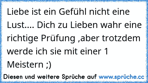 Liebe ist ein Gefühl nicht eine Lust.... Dich zu Lieben wahr eine richtige Prüfung ,aber trotzdem werde ich sie mit einer 1 Meistern ;)