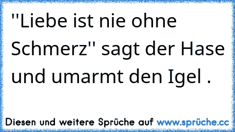 ''Liebe ist nie ohne Schmerz'' sagt der Hase und umarmt den Igel .