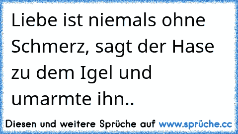 Liebe ist niemals ohne Schmerz, sagt der Hase zu dem Igel und umarmte ihn..