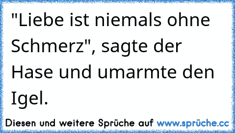 "Liebe ist niemals ohne Schmerz", sagte der Hase und umarmte den Igel.