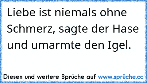 Liebe ist niemals ohne Schmerz, sagte der Hase und umarmte den Igel.