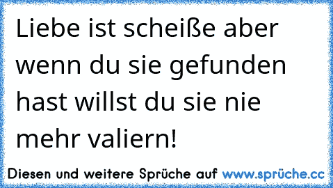 Liebe ist scheiße aber wenn du sie gefunden hast willst du sie nie mehr valiern!