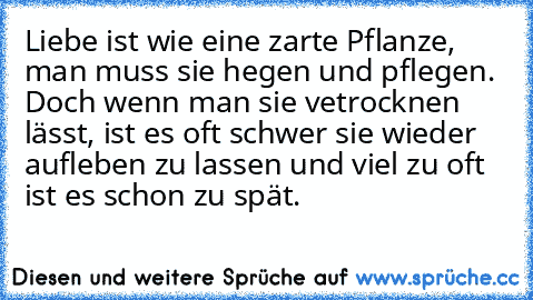 Liebe ist wie eine zarte Pflanze, man muss sie hegen und pflegen. Doch wenn man sie vetrocknen lässt, ist es oft schwer sie wieder aufleben zu lassen und viel zu oft ist es schon zu spät.