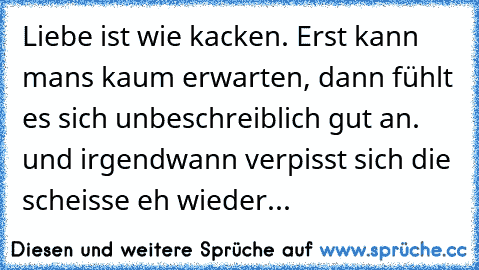 Liebe ist wie kacken. Erst kann mans kaum erwarten, dann fühlt es sich unbeschreiblich gut an. und irgendwann verpisst sich die scheisse eh wieder...