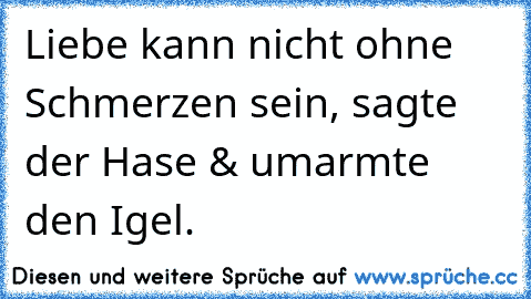 Liebe kann nicht ohne Schmerzen sein, sagte der Hase & umarmte den Igel. ♥