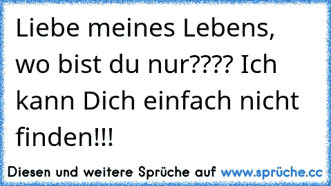 Liebe meines Lebens, wo bist du nur???? Ich kann Dich einfach nicht finden!!!