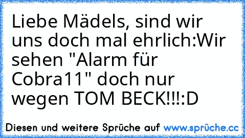 Liebe Mädels, sind wir uns doch mal ehrlich:
Wir sehen "Alarm für Cobra11" doch nur wegen TOM BECK!!!
:D