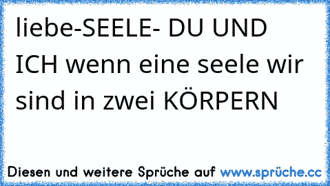 liebe-SEELE- DU UND ICH wenn eine seele wir sind in zwei KÖRPERN