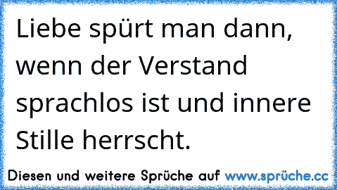 Liebe spürt man dann, wenn der Verstand sprachlos ist und innere Stille herrscht.