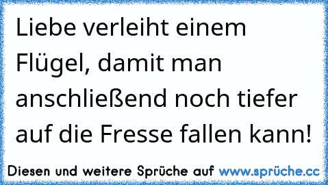 Liebe verleiht einem Flügel, damit man anschließend noch tiefer auf die Fresse fallen kann!