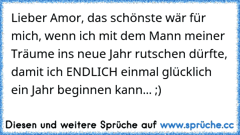 Lieber Amor, das schönste wär für mich, wenn ich mit dem Mann meiner Träume ins neue Jahr rutschen dürfte, damit ich ENDLICH einmal glücklich ein Jahr beginnen kann... ;)