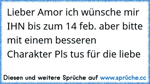 Lieber Amor ich wünsche mir IHN bis zum 14 feb. aber bitte mit einem besseren Charakter Pls tus für die liebe 