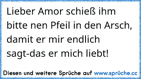 Lieber Amor schieß ihm bitte nen Pfeil in den Arsch, damit er mir endlich sagt-das er mich liebt!