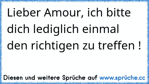 Lieber Amour, ich bitte dich lediglich einmal den richtigen zu treffen !