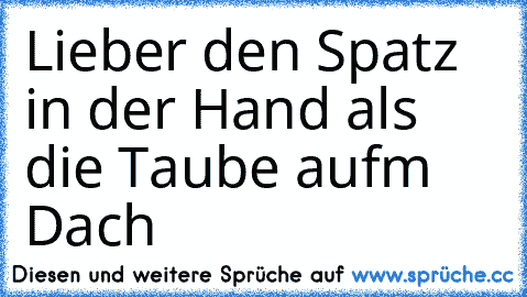 Lieber den Spatz in der Hand als die Taube aufm Dach