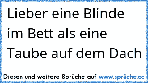 Lieber eine Blinde im Bett als eine Taube auf dem Dach