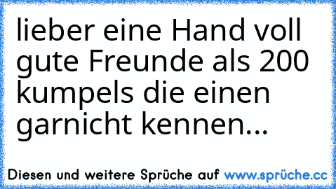 lieber eine Hand voll gute Freunde als 200 kumpels die einen garnicht kennen...