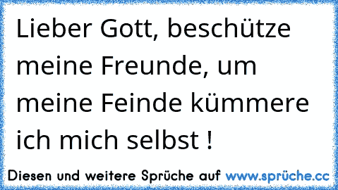 Lieber Gott, beschütze meine Freunde, um meine Feinde kümmere ich mich selbst !