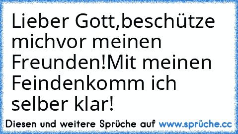 Lieber Gott,
beschütze mich
vor meinen Freunden!
Mit meinen Feinden
komm ich selber klar!