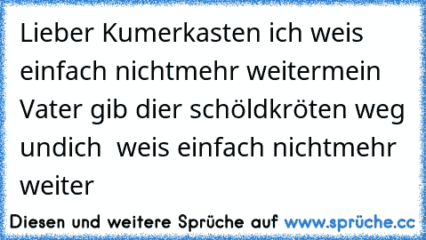 Lieber Kumerkasten ich weis einfach nichtmehr weiter
mein Vater gib dier schöldkröten weg und
ich  weis einfach nichtmehr weiter