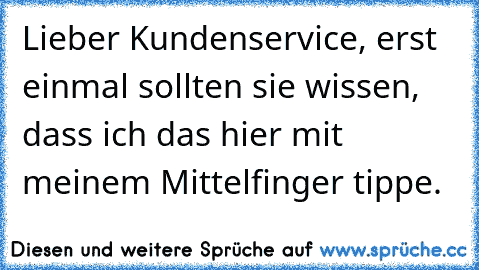 Lieber Kundenservice, erst einmal sollten sie wissen, dass ich das hier mit meinem Mittelfinger tippe.