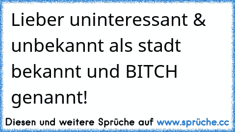 Lieber uninteressant & unbekannt als stadt bekannt und BITCH genannt!