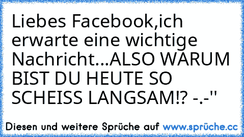 Liebes Facebook,
ich erwarte eine wichtige Nachricht...
ALSO WARUM BIST DU HEUTE SO SCHEISS LANGSAM!? -.-''