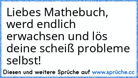 Liebes Mathebuch, werd endlich erwachsen und lös deine scheiß probleme selbst!