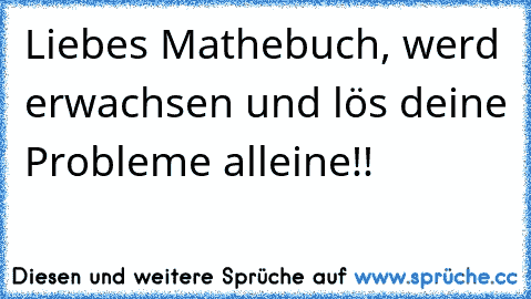 Liebes Mathebuch, werd erwachsen und lös deine Probleme alleine!!