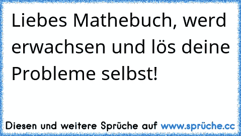 Liebes Mathebuch, werd erwachsen und lös deine Probleme selbst!