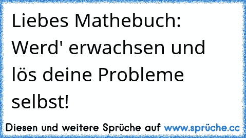 Liebes Mathebuch: Werd' erwachsen und lös deine Probleme selbst!