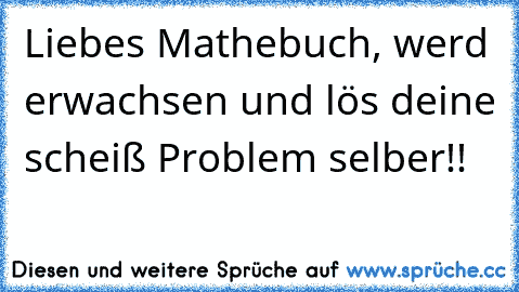 Liebes Mathebuch, werd erwachsen und lös deine scheiß Problem selber!!