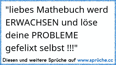 "liebes Mathebuch werd ERWACHSEN und löse deine PROBLEME gefelixt selbst !!!"