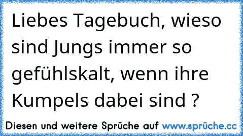 Liebes Tagebuch, wieso sind Jungs immer so gefühlskalt, wenn ihre Kumpels dabei sind ?