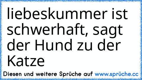 liebeskummer ist schwerhaft, sagt der Hund zu der Katze