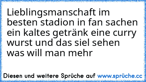 Lieblingsmanschaft im besten stadion in fan sachen ein kaltes getränk eine curry wurst und das siel sehen was will man mehr