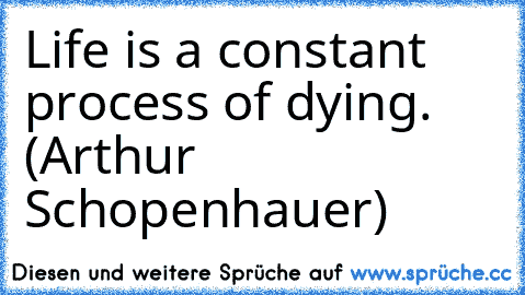 Life is a constant process of dying. (Arthur Schopenhauer)