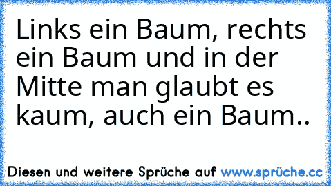 Links ein Baum, rechts ein Baum und in der Mitte man glaubt es kaum, auch ein Baum..☢