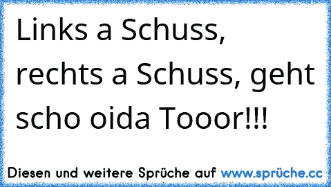 Links a Schuss, rechts a Schuss, geht scho oida Tooor!!!