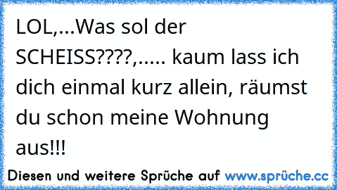 LOL,...Was sol der SCHEISS????,..... kaum lass ich dich einmal kurz allein, räumst du schon meine Wohnung aus!!!